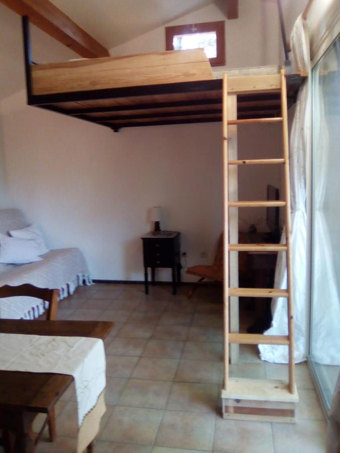 Sous Les Pins Apartment Villeneuve-lès-Avignon Exterior foto